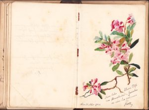 Carnet de amintiri 1919-1929, Sibiu, limba română și germană