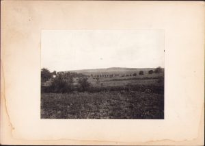 Dealul Silagiului Buziaș, 1921, fotografie de George Vâlsan