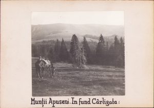 Munții Apuseni Vărășoaia spre Cârligata, fotografie de Emmanuel de Martonne, 1921