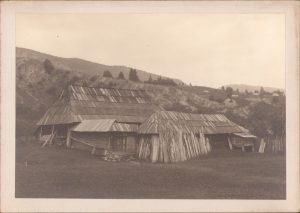 Gospodărie țărănească românească, 1921