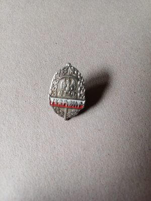 Insignă veteran de război al celui de-al Doilea Război Mondial, Polonia, Związek Kombatantów Rzeczypospolitej Polskiej i Byłych Więźniów Politycznych, ZKRPiBWP