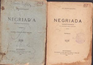Negriada, Epopeiă națională de Aron Densușianu, volumul I, 1879, și volumul II, 1884, Tipografia Curții, Bucuresci