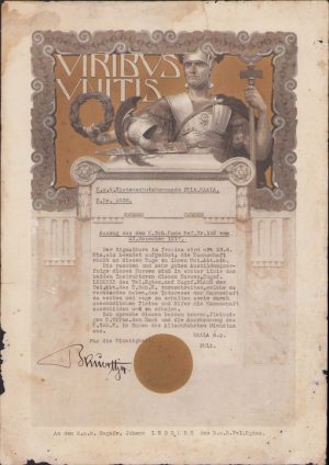 Recompensă militară austro-ungară pentru un sergent de origine șvabă din Banat, 1917