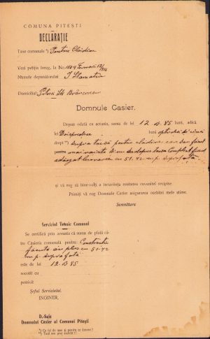 Declarație taxe comunale, comuna Pitești, 1916