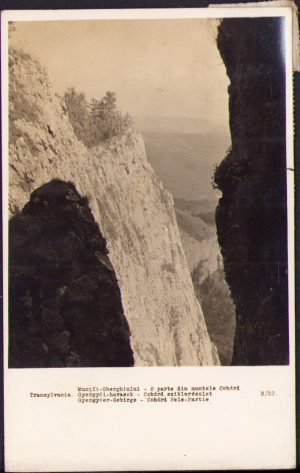 Transilvania, Munții Gurghiului, o parte din muntele Suhard, carte poștală, circulată Gherla