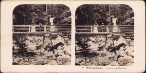 Riesengebirge, Scenerie am Hainfall, Neue Photographische Gesellschaft A G, Steglitz-Berlin, 1903, stereoscopic photo
