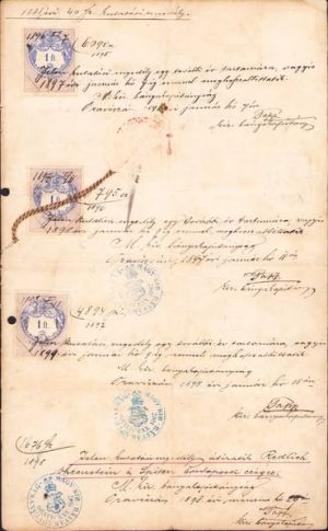 Permis de prospector și de minerit pentru doi prospectori evrei, 1897, Oravița
