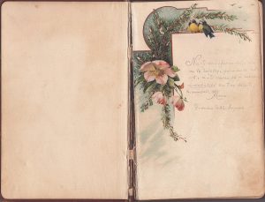 Carnet de amintiri, 1916-1921, Timișoara, Brașov și localități din Banat