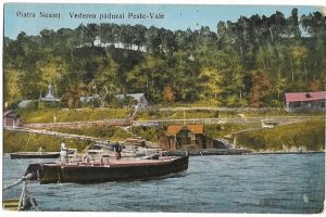 Piatra Neamț, Vederea pădurai Peste-Vale, carte poștală