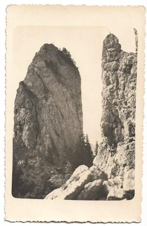 Câmpulung Moldovenesc (Bucovina) Rarău 1668 m, carte poștală