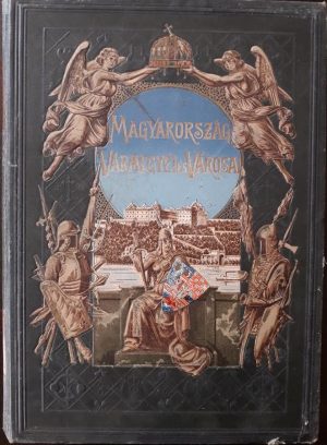Magyarország vármegyei és városai, Bihar vármegye és Nagyvárad, 1901