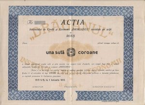 Acția Institutului de Credit și Economii Drăganul din Beiuș, 1912, 100 coroane