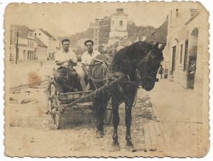 Căruță cu cal la Rupea, județul Brașov