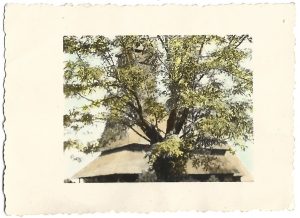 Biserică românească din lemn, fotografie colorizată, Luna Bucureștilor, perioada regalității