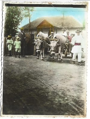 Plecarea în excursie la Mănăstirea Cheia, Suzana, Schiulești în anul 1911 din Slănic Prahova prin Mâneci