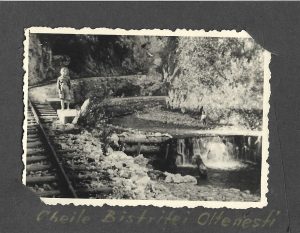 Cheile Bistriței oltenești, anii 1940