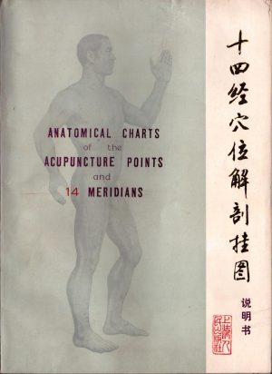 Anatomical charts of the acupuncture points and 14 meridians, Chinese Traditional College of Shanghai, Chinese Traditional Medical Research Institute of Shanghai, 1976