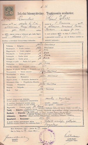 Testimoniu scolastic al lui Romulus Mioc (viitor primar al Petroșanilor și prefect al județului Hunedoara), 1901, eliberat de Gimnaziul român greco-catolic din Beiuș