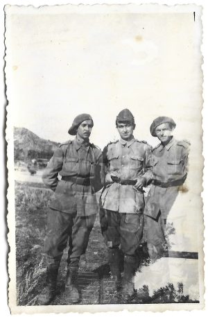 Militari români, perioada regalității