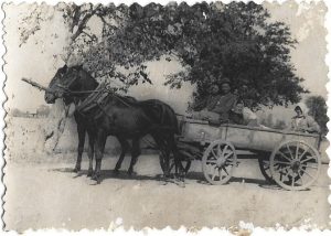 Țărani cu căruță trasă de cai, România