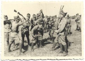 Elevi militari români, perioada regalității