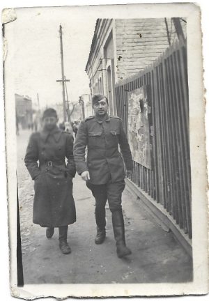 Militari români, perioada regalității