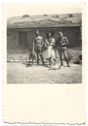 Militari români, perioada regalității