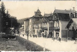 Borsec, clișeu de Heiter, carte poștală