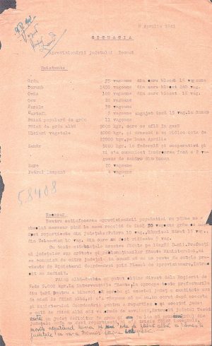 Situația aprovizionării județului Tecuci pe luna aprilie 1941