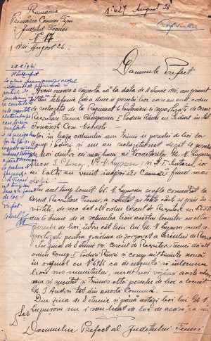 Raport confidențial, primăria comunei Țepu, județul Tecuci către Prefectura județului, 1941, în cauza sustragerii de la rechiziția boilor a unui țăran, cu rezoluția și semnătura olografă a prefectului