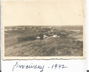 Șirokine, Frontul de Est, 1942