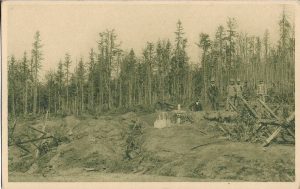 Zerschossener Wald auf der Wiszkower Passhöhe 1915, carte poștală
