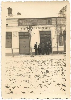 Magasin coloniale, diferite vinuri, beuturi spirtose, bere Bragadiru, Ștefănache V Bălănescu, București, studio Carpați