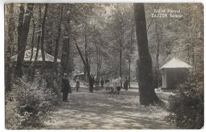 Zizin, parcul, carte poștală