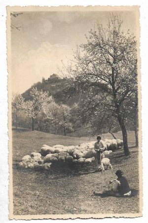 Cisnădioara lângă Sibiu, carte poștală, ștampilă cenzură