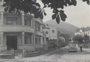 Raionul de partid, Câmpulung Moldovenesc, 1956
