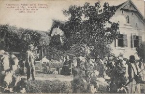 Kosztolányi András szőlő birtokos, nagyabani oltvány termelő, csemege szőlő és bor eladás, Opálos, Arad m, carte poștală