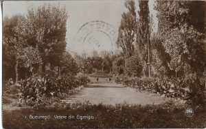 București, Vedere din Cișmigiu, carte poștală