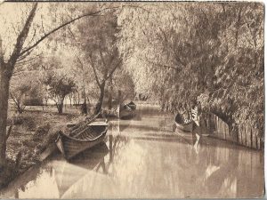 Vedere din Delta Dunării, carte poștală