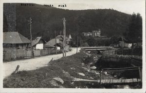 Bușteni, Valea Albă, carte poștală