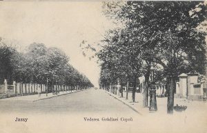 Jassy, Vederea Grădinei Copou, carte poștală