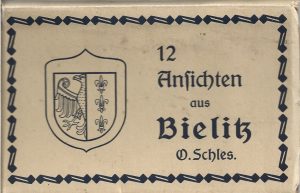 12 Ansichten aus Bielitz von O Schles/Bielsko-Biala