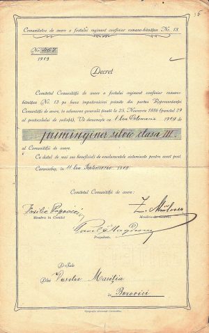 Decret de numire în funcția de priminginer silvic clasa III, 1919, Caransebeș, Comunitatea de avere a fostului regiment confiniar româno-bănățean Nr 13