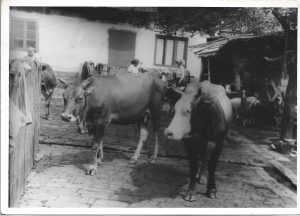 Vaci, România, fotografie din perioada comunistă