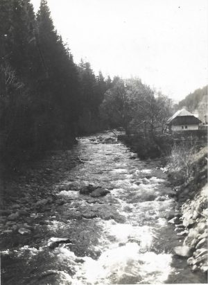 Pârâul Ilva la Lunca Bradului, 1930