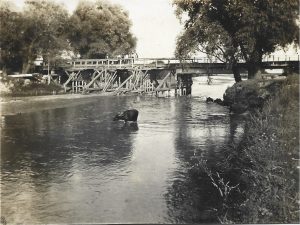Pod din lemn și bivoli în apă, 1929, România
