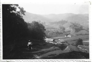 Peisaj rural din zona Năsăud, anii 1930