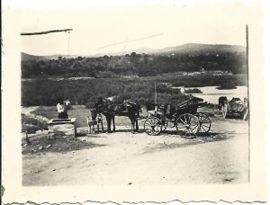 Trăsură la fântână cu cumpănă, România, perioada interbelică