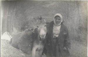 Tânără țărancă cu măgăruș, Vechiul Regat, perioada antebelică
