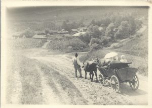 Car cu bivoli, Vechiul Regat, perioada antebelică